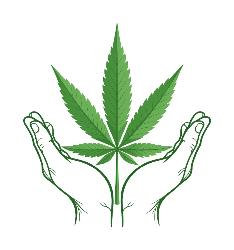 Cannivest Capital